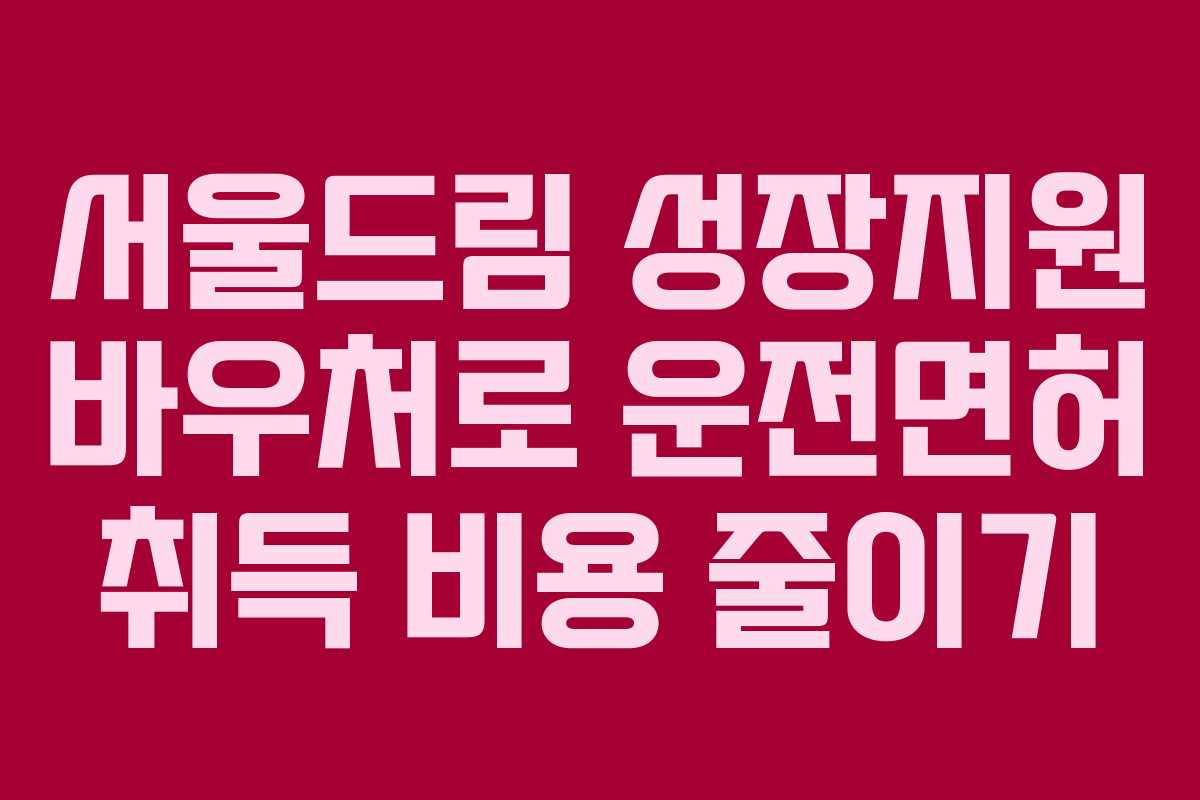 서울드림 성장지원 바우처로 운전면허 취득 비용 줄이기