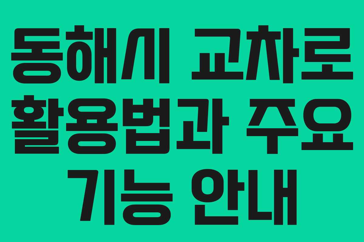 동해시 교차로 활용법과 주요 기능 안내