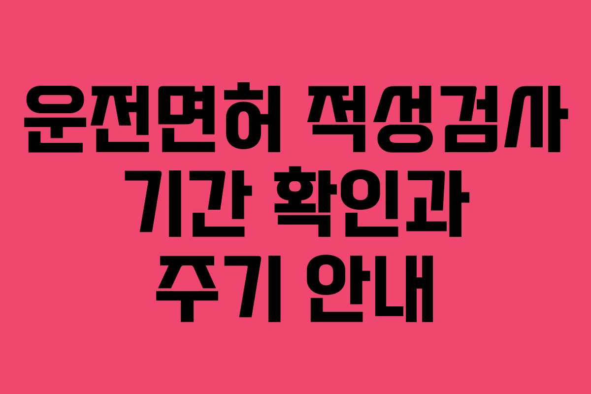 운전면허 적성검사 기간 확인과 주기 안내