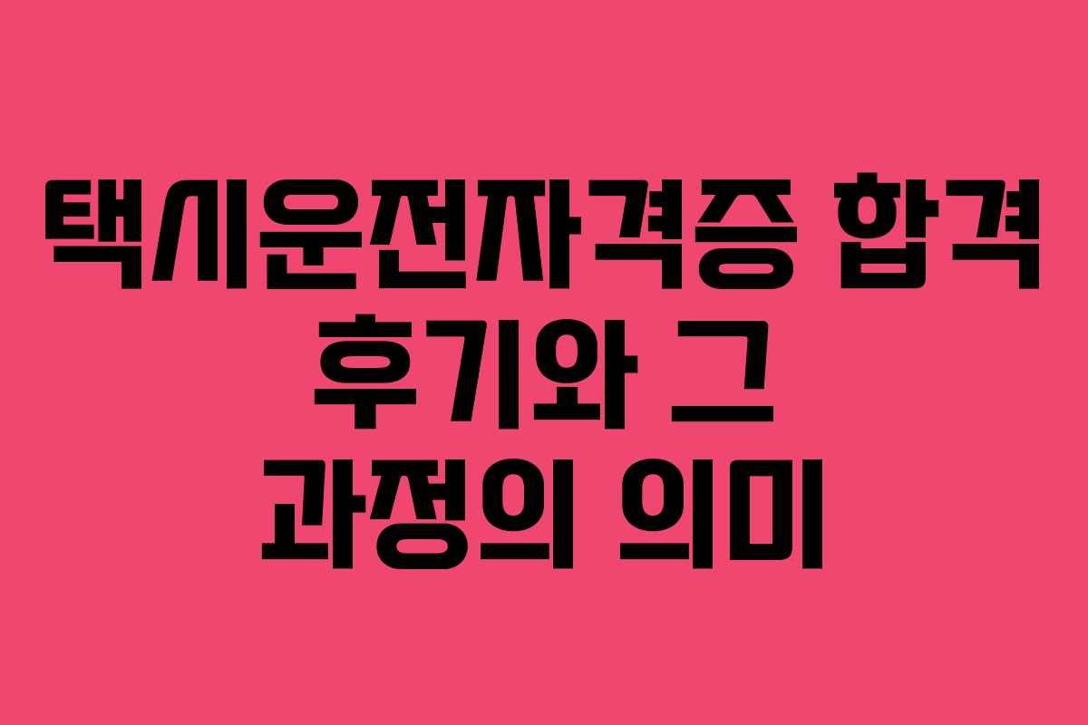 택시운전자격증 합격 후기와 그 과정의 의미