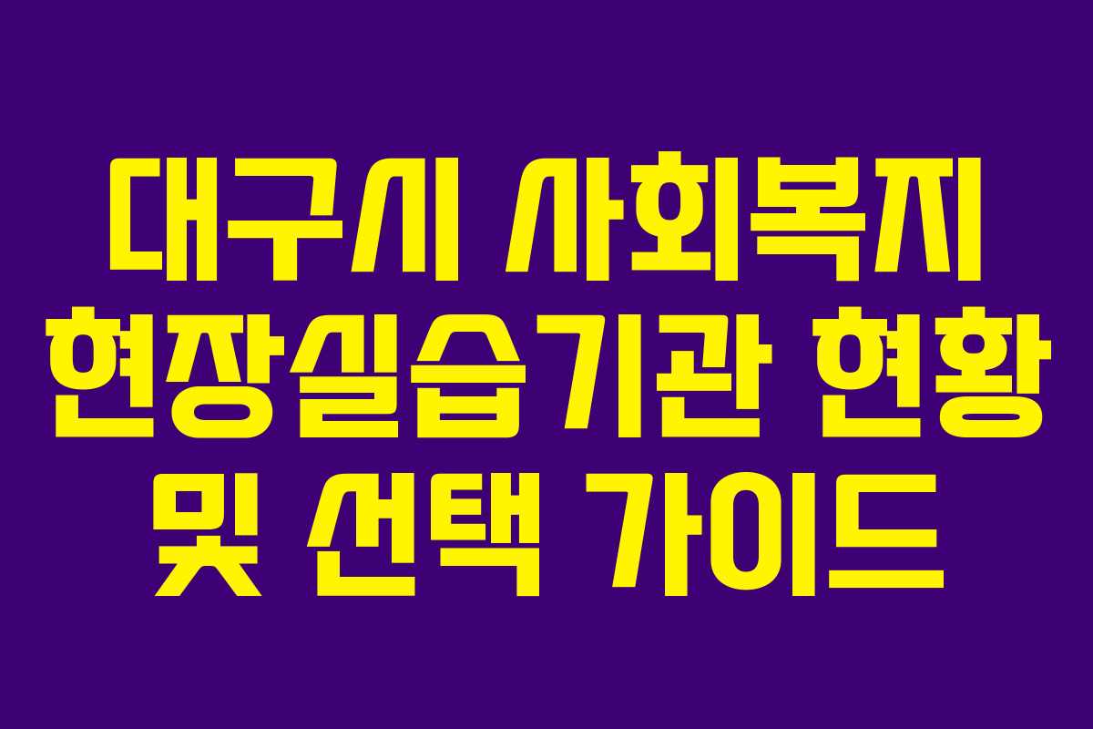 대구시 사회복지 현장실습기관 현황 및 선택 가이드