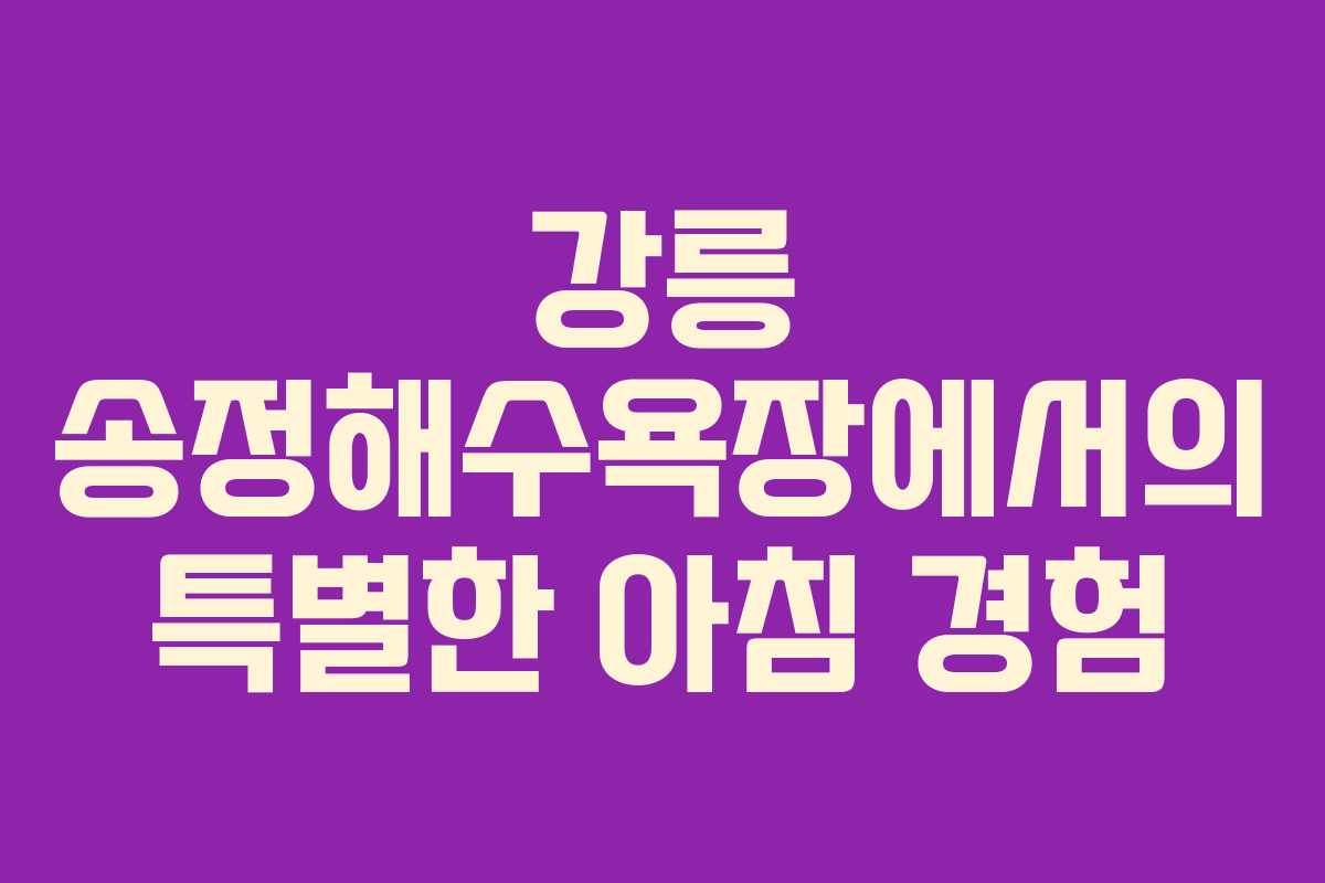 강릉 송정해수욕장에서의 특별한 아침 경험