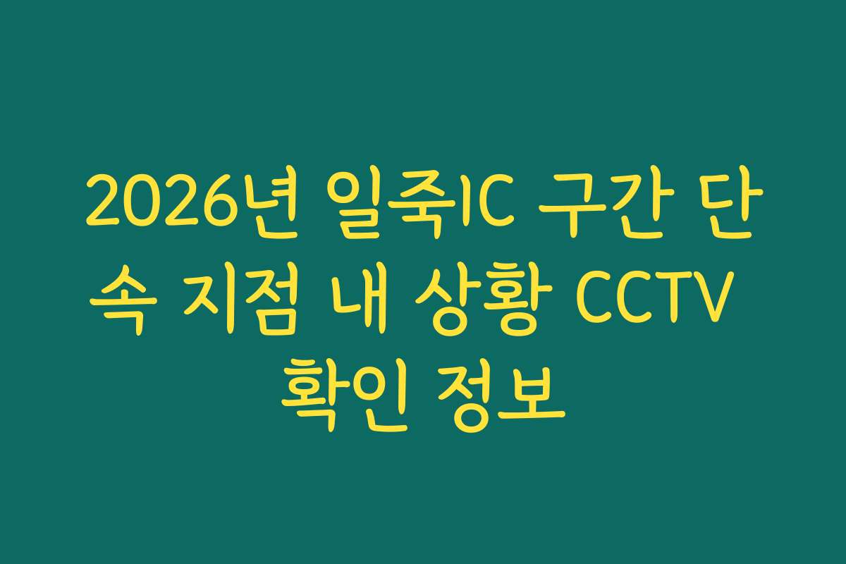 2026년 일죽IC 구간 단속 지점 내 상황 CCTV 확인 정보