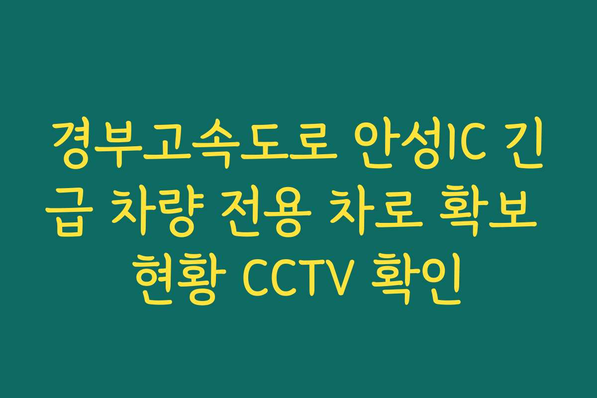 경부고속도로 안성IC 긴급 차량 전용 차로 확보 현황 CCTV 확인