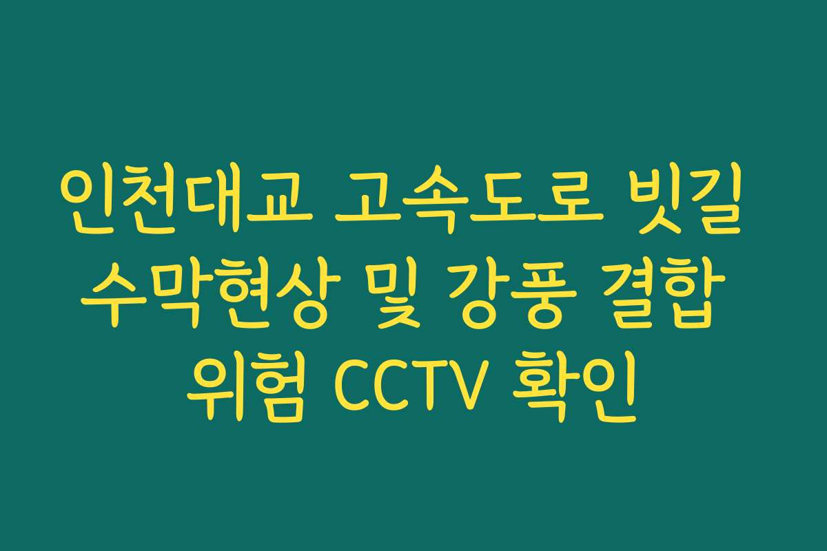 인천대교 고속도로 빗길 수막현상 및 강풍 결합 위험 CCTV 확인