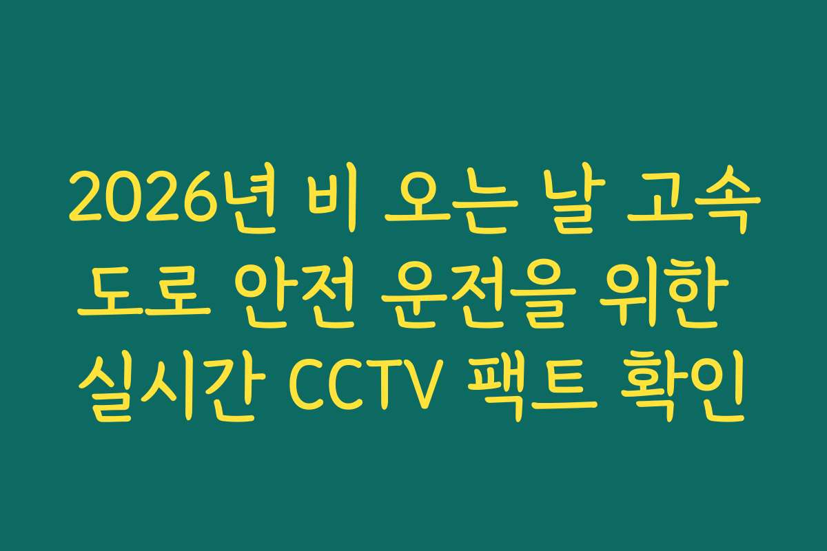 2026년 비 오는 날 고속도로 안전 운전을 위한 실시간 CCTV 팩트 확인