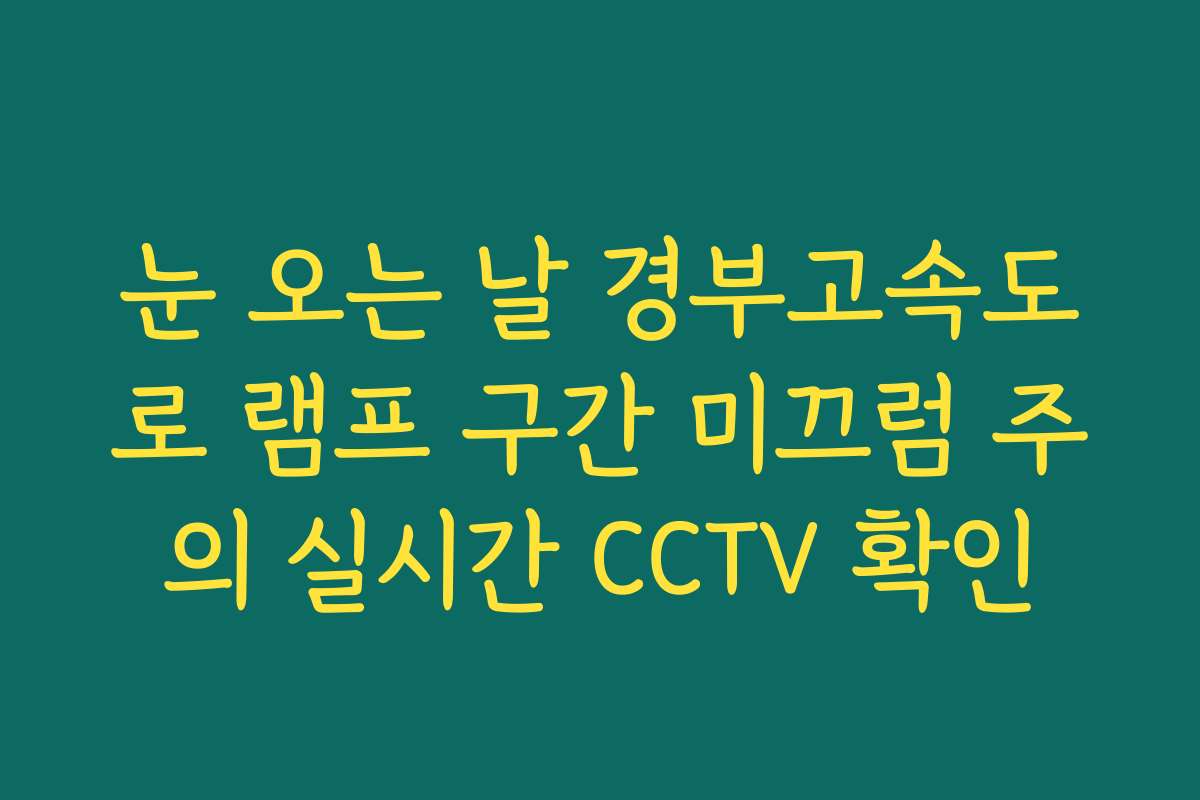 눈 오는 날 경부고속도로 램프 구간 미끄럼 주의 실시간 CCTV 확인