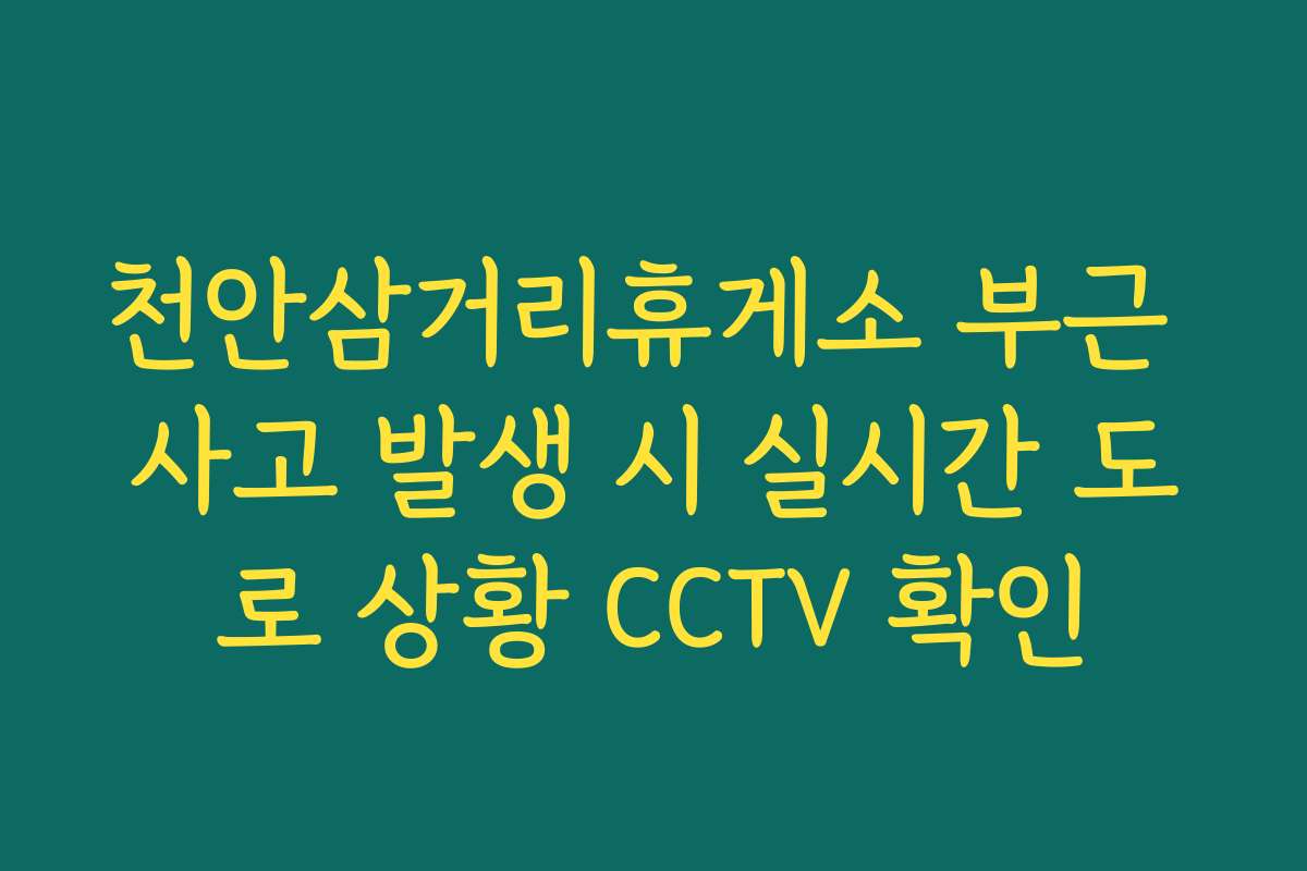천안삼거리휴게소 부근 사고 발생 시 실시간 도로 상황 CCTV 확인