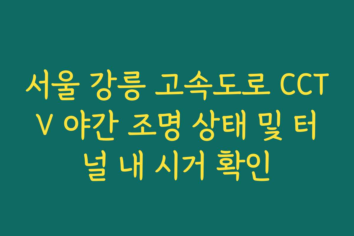 서울 강릉 고속도로 CCTV 야간 조명 상태 및 터널 내 시거 확인