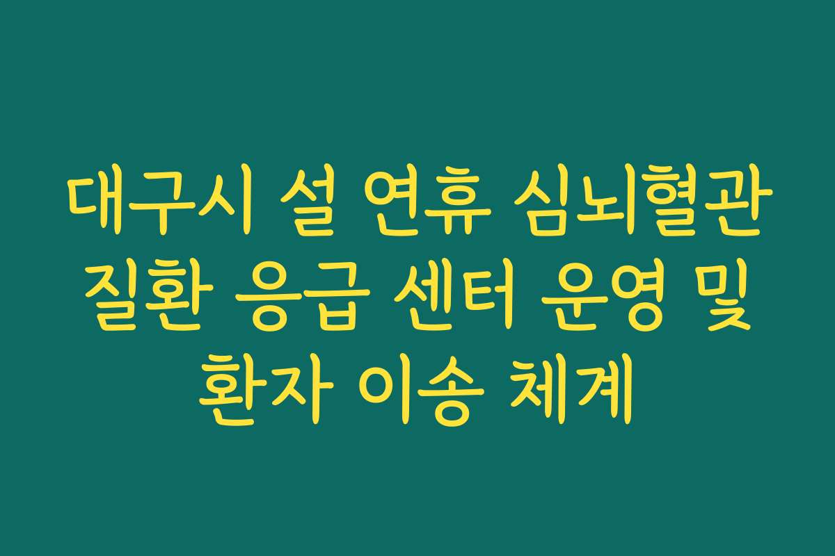 대구시 설 연휴 심뇌혈관 질환 응급 센터 운영 및 환자 이송 체계