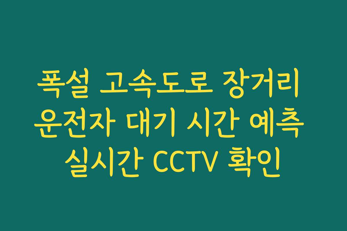 폭설 고속도로 장거리 운전자 대기 시간 예측 실시간 CCTV 확인