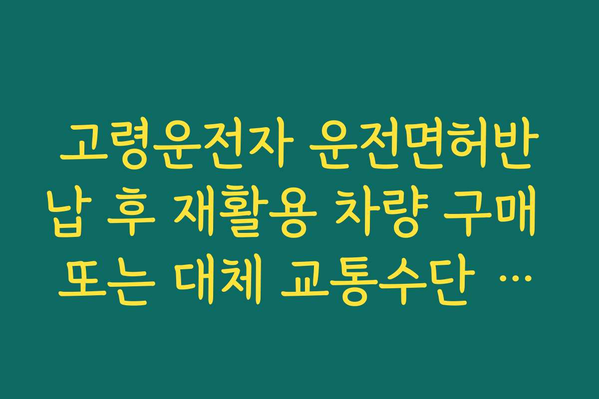 고령운전자 운전면허반납 후 재활용 차량 구매 또는 대체 교통수단 선택법