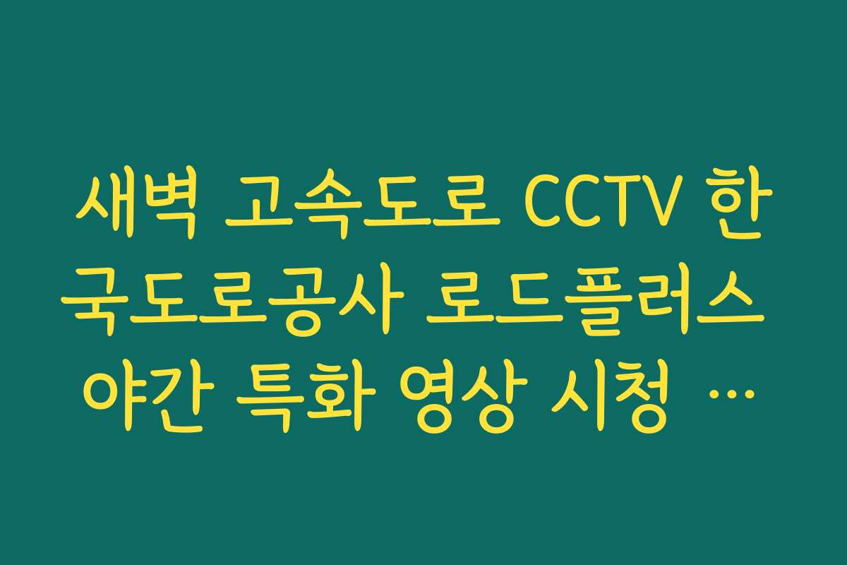 새벽 고속도로 CCTV 한국도로공사 로드플러스 야간 특화 영상 시청 방법