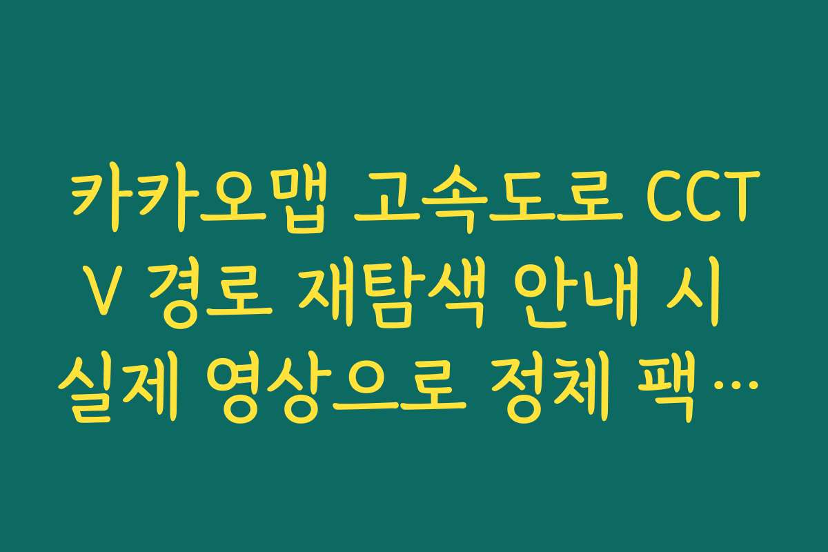 카카오맵 고속도로 CCTV 경로 재탐색 안내 시 실제 영상으로 정체 팩트 체크