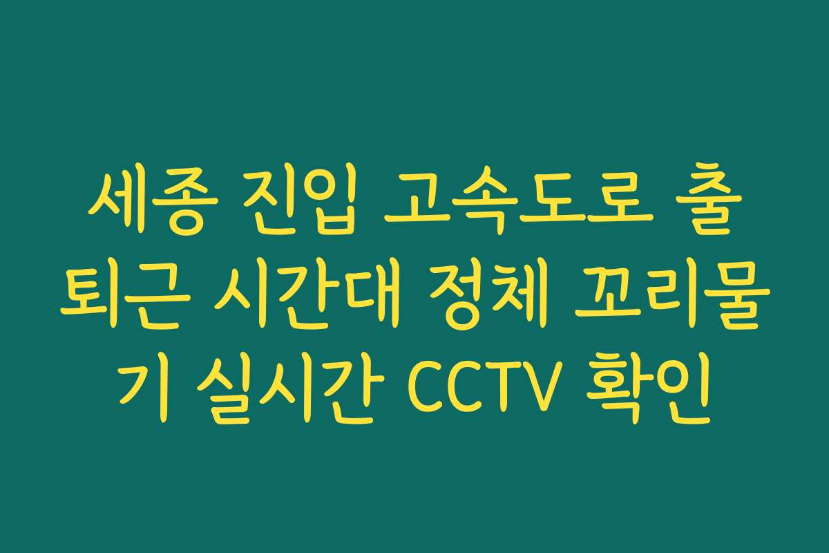 세종 진입 고속도로 출퇴근 시간대 정체 꼬리물기 실시간 CCTV 확인