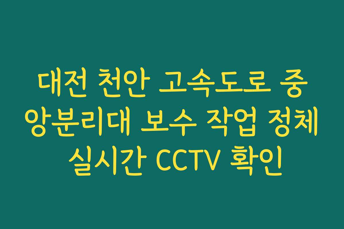 대전 천안 고속도로 중앙분리대 보수 작업 정체 실시간 CCTV 확인