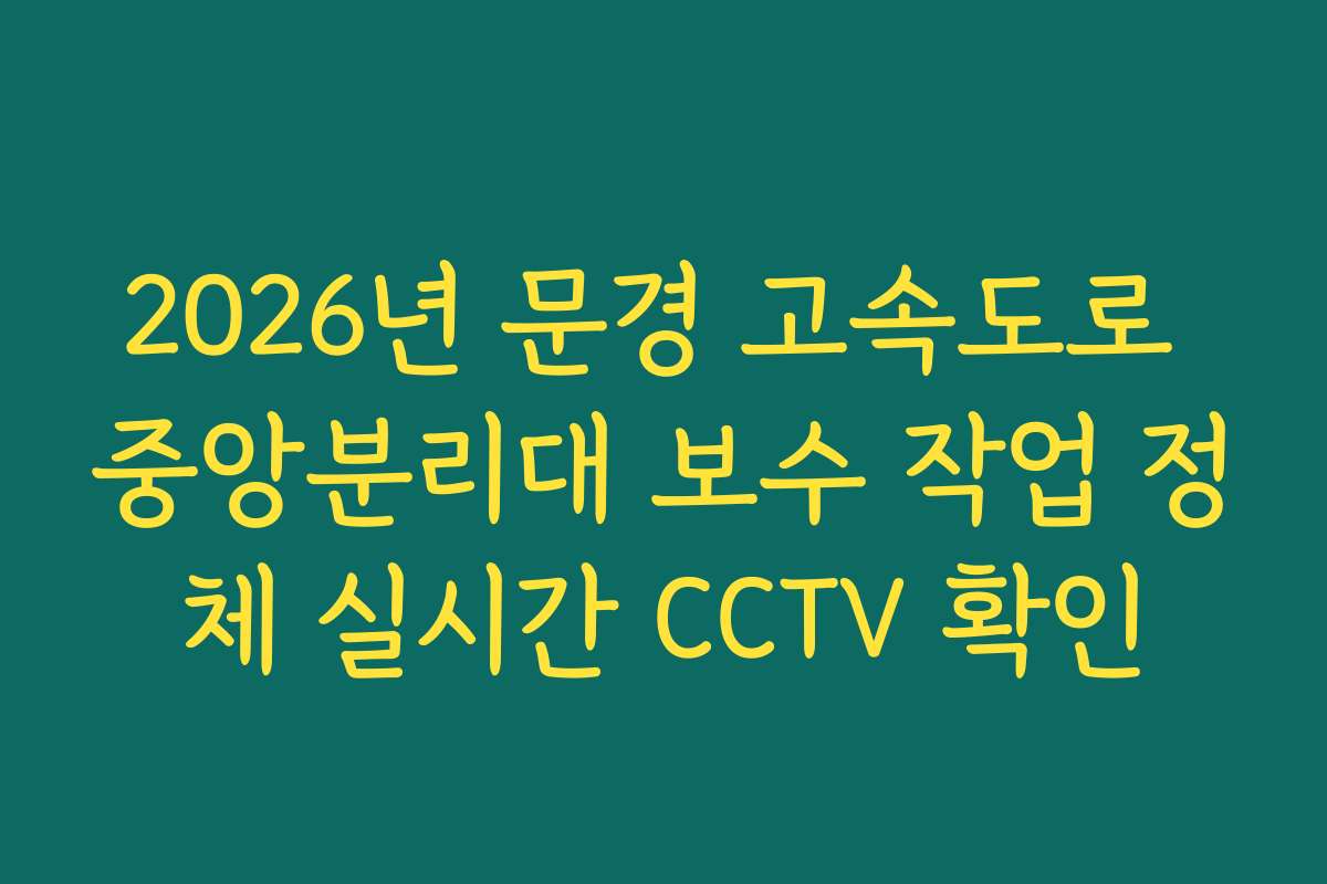 2026년 문경 고속도로 중앙분리대 보수 작업 정체 실시간 CCTV 확인