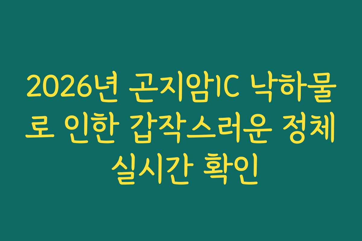 2026년 곤지암IC 낙하물로 인한 갑작스러운 정체 실시간 확인