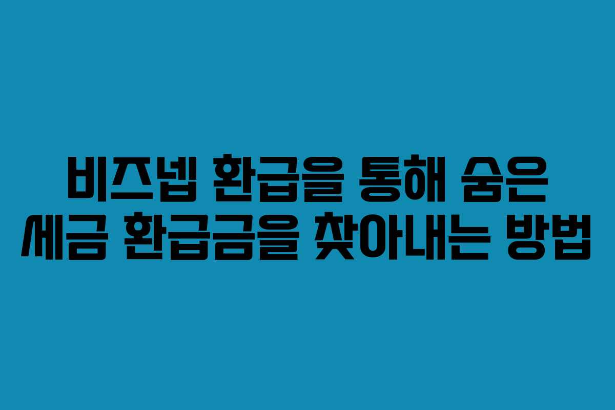 비즈넵 환급을 통해 숨은 세금 환급금을 찾아내는 방법