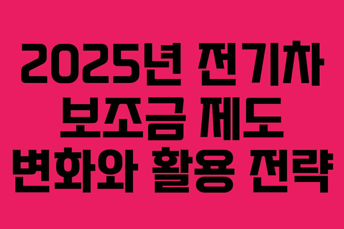 2025년 전기차 보조금 제도 변화와 활용 전략