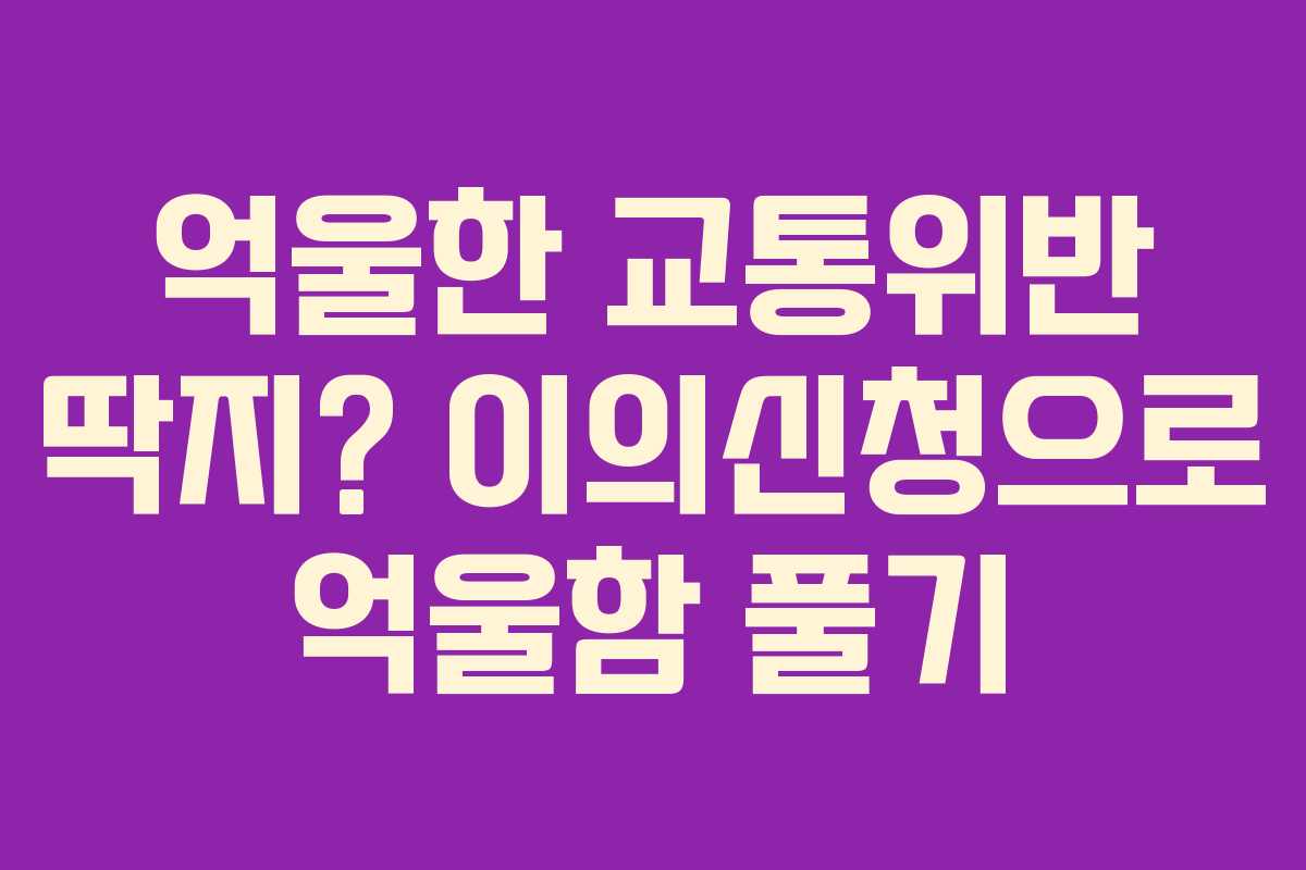 억울한 교통위반 딱지? 이의신청으로 억울함 풀기