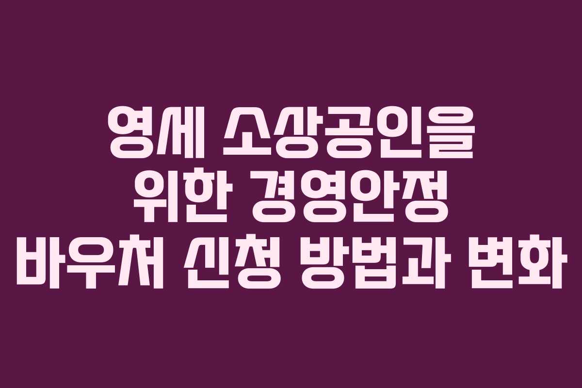 영세 소상공인을 위한 경영안정 바우처 신청 방법과 변화