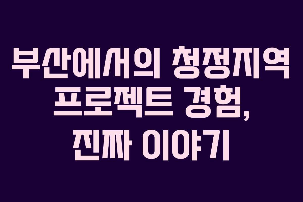부산에서의 청정지역 프로젝트 경험, 진짜 이야기