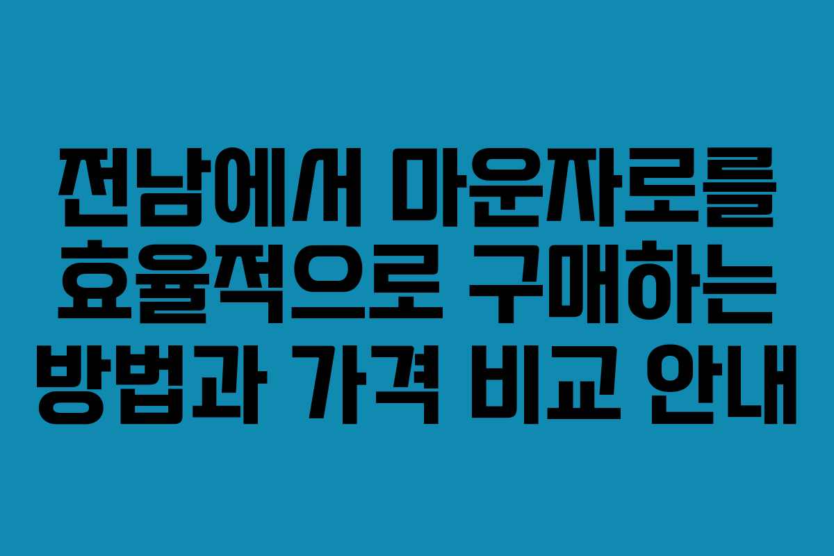 전남에서 마운자로를 효율적으로 구매하는 방법과 가격 비교 안내