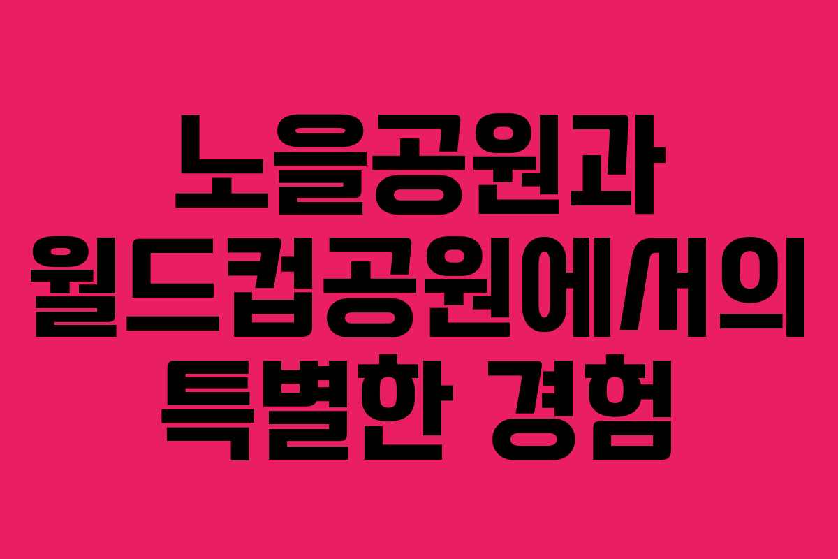 노을공원과 월드컵공원에서의 특별한 경험
