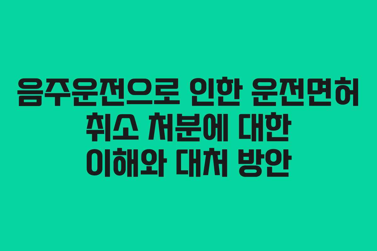 음주운전으로 인한 운전면허 취소 처분에 대한 이해와 대처 방안