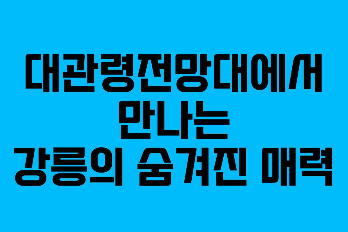 대관령전망대에서 만나는 강릉의 숨겨진 매력