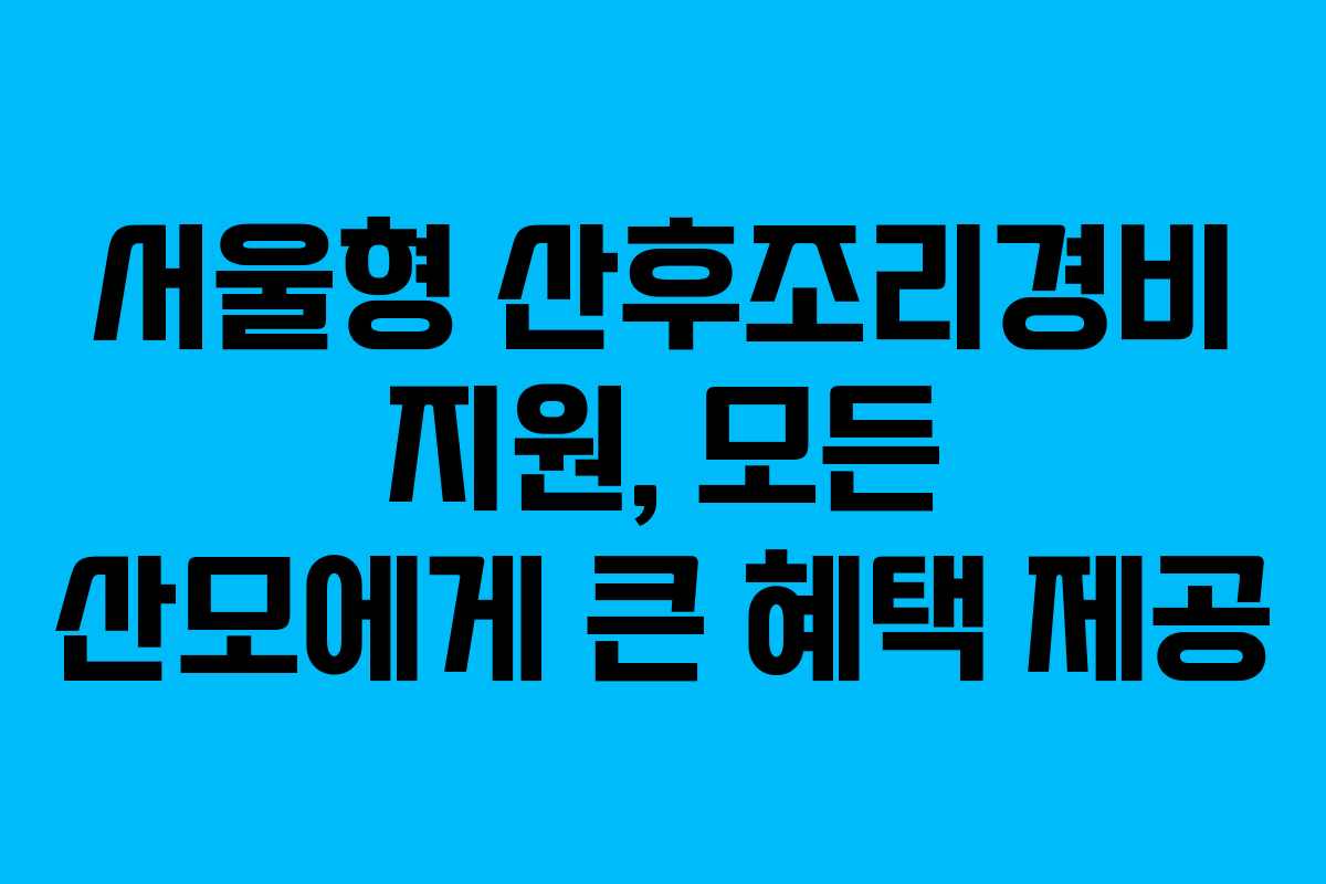 서울형 산후조리경비 지원, 모든 산모에게 큰 혜택 제공