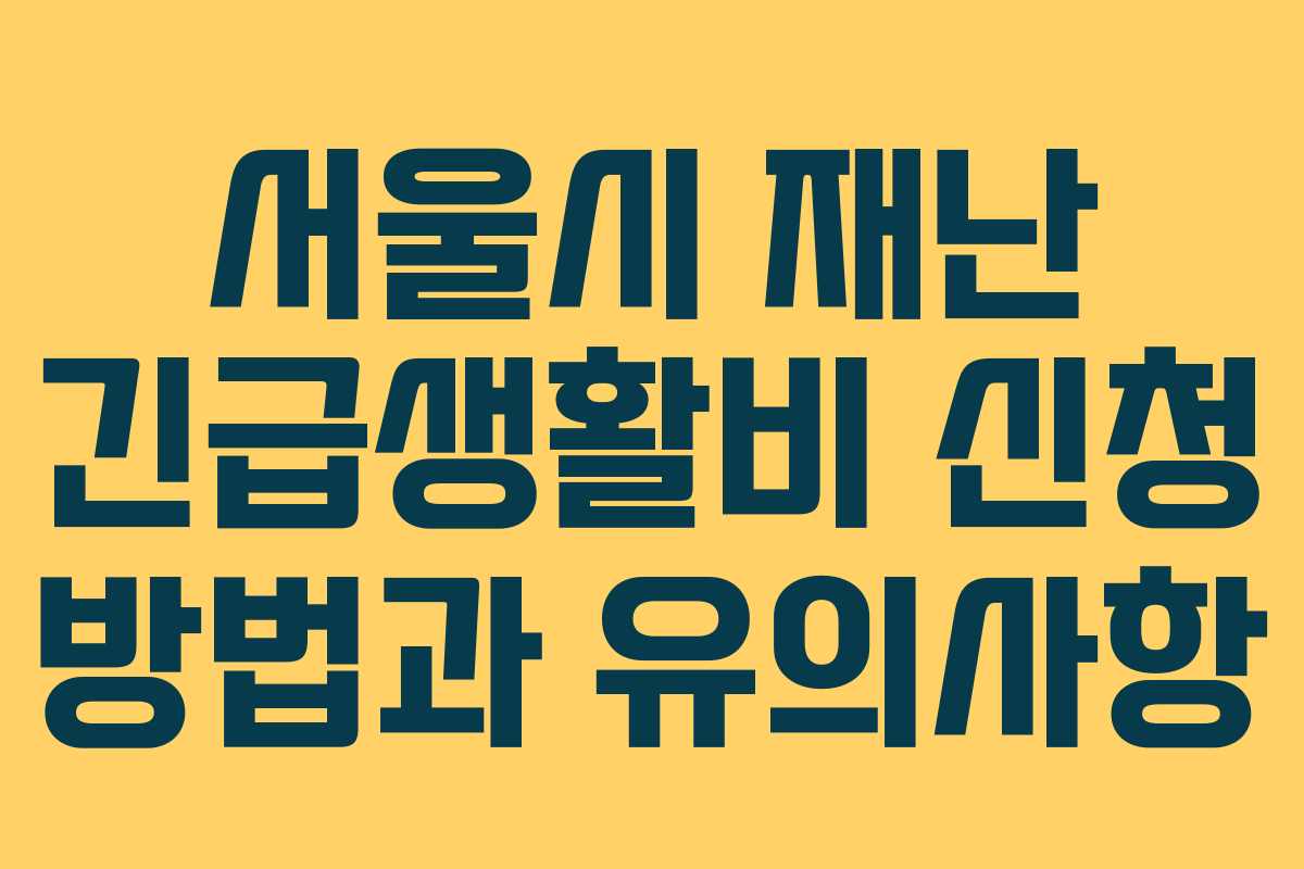 서울시 재난 긴급생활비 신청 방법과 유의사항