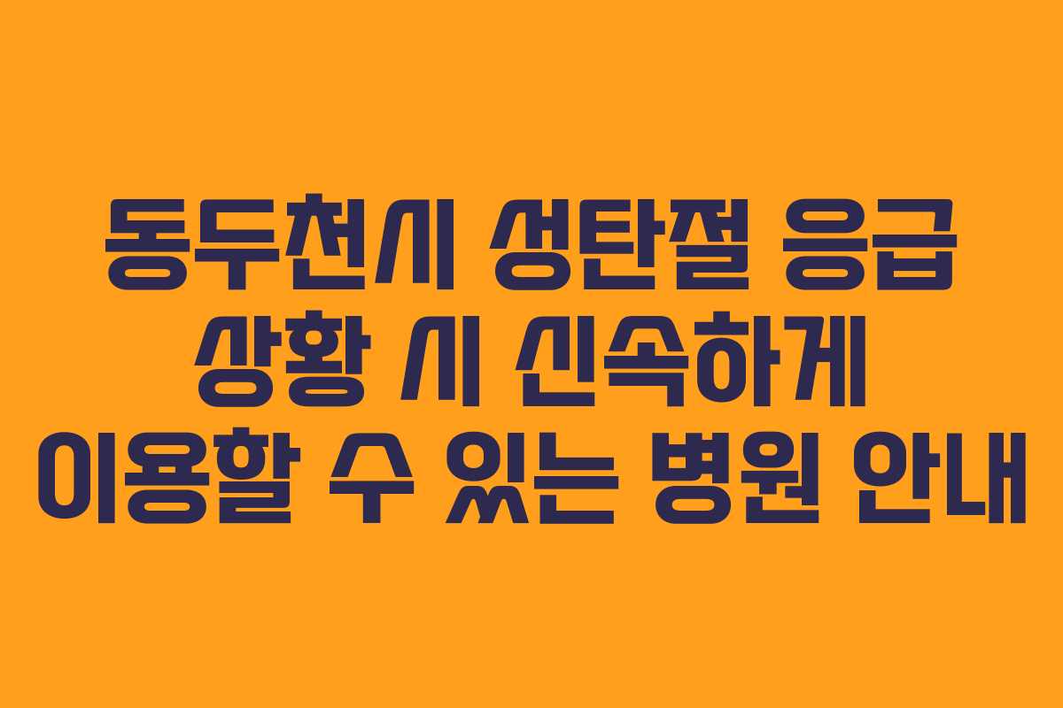 동두천시 성탄절 응급 상황 시 신속하게 이용할 수 있는 병원 안내
