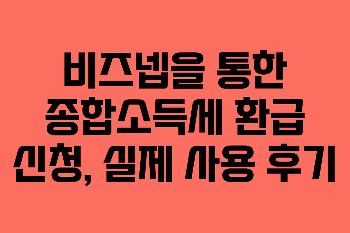비즈넵을 통한 종합소득세 환급 신청, 실제 사용 후기