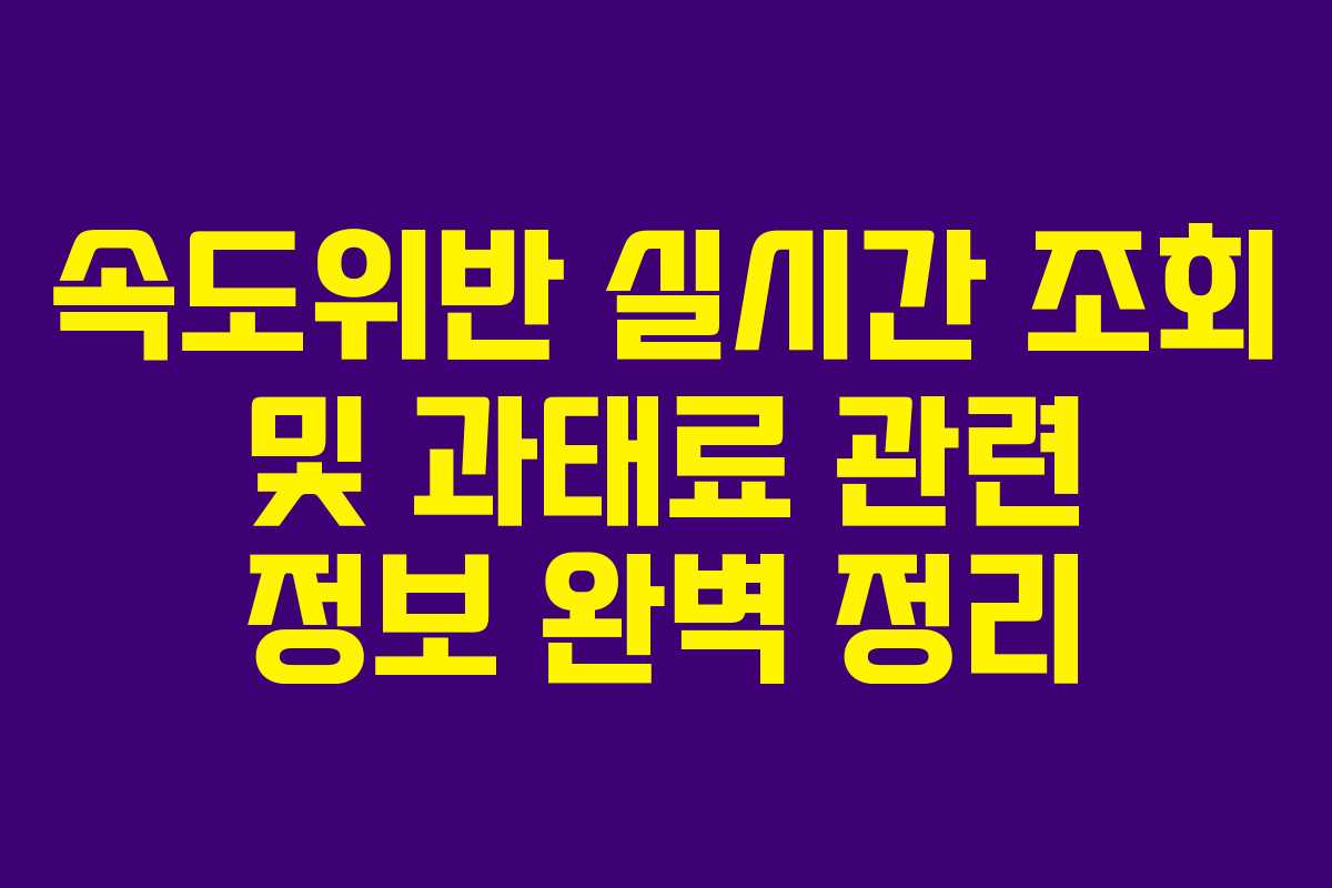 속도위반 실시간 조회 및 과태료 관련 정보 완벽 정리