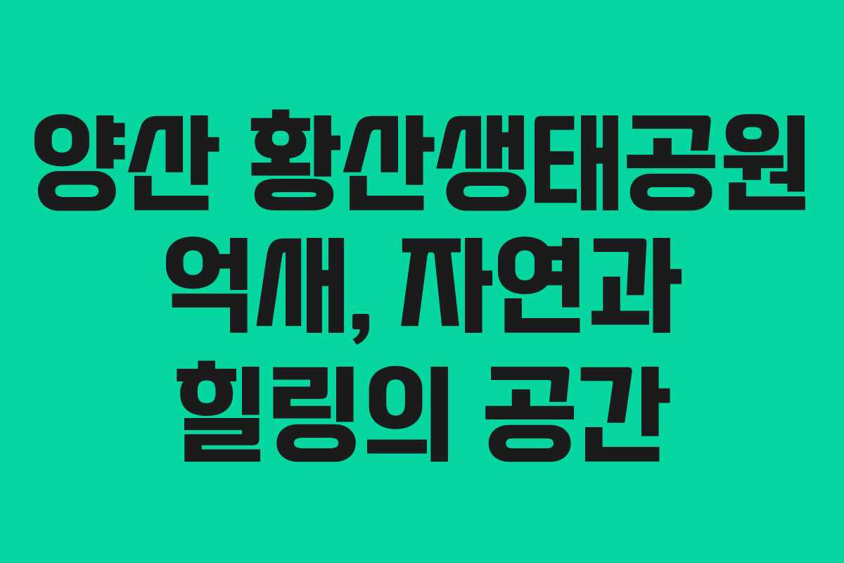 양산 황산생태공원 억새, 자연과 힐링의 공간
