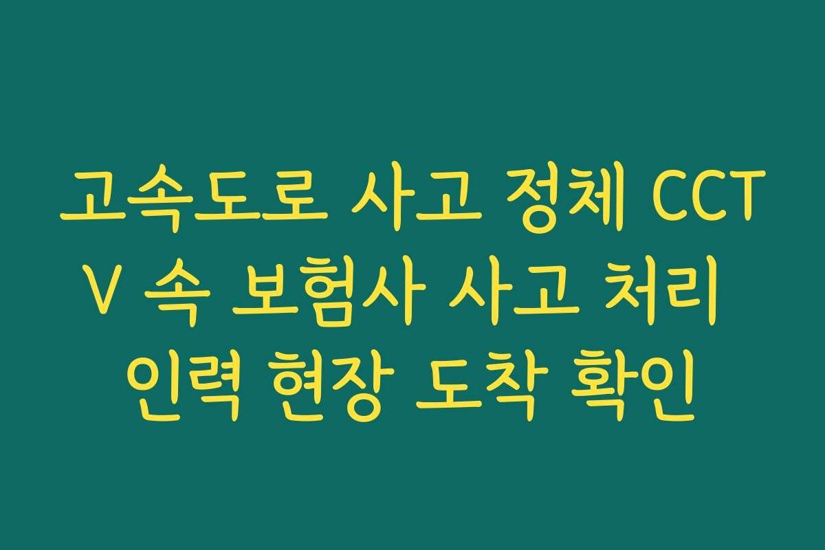 고속도로 사고 정체 CCTV 속 보험사 사고 처리 인력 현장 도착 확인