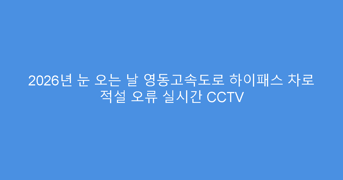 2026년 눈 오는 날 영동고속도로 하이패스 차로 적설 오류 실시간 CCTV