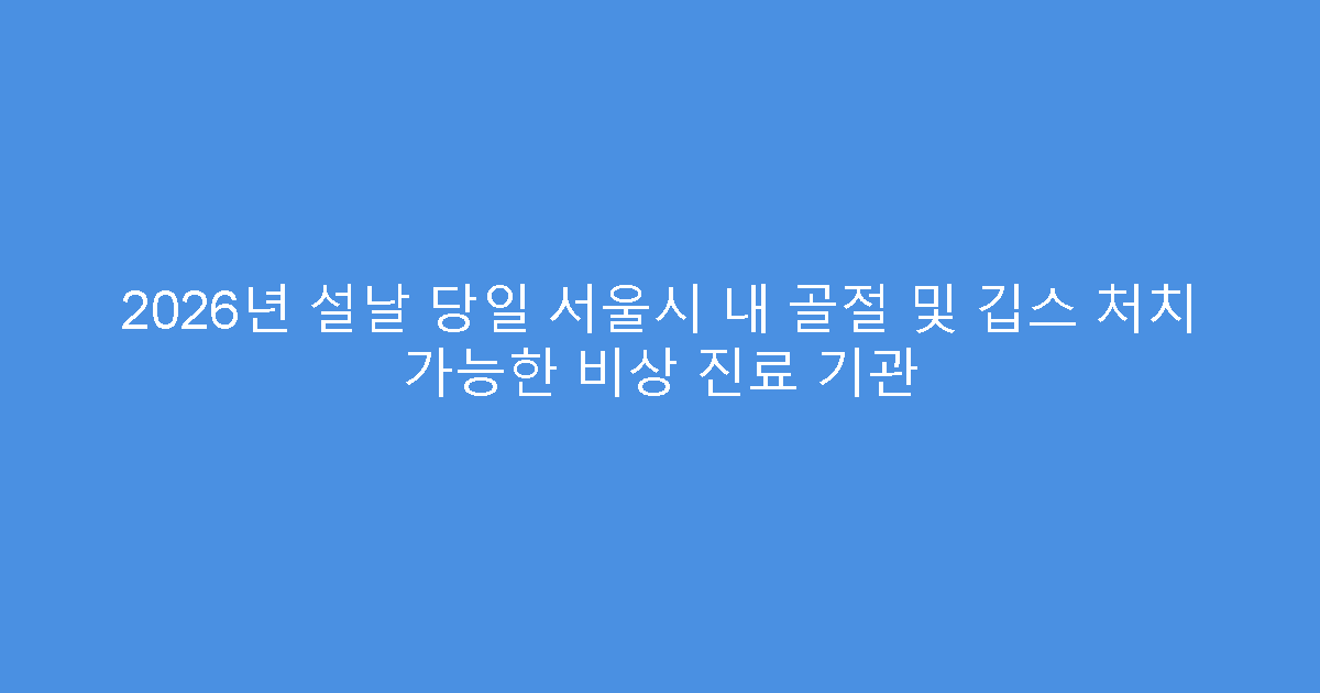 2026년 설날 당일 서울시 내 골절 및 깁스 처치 가능한 비상 진료 기관