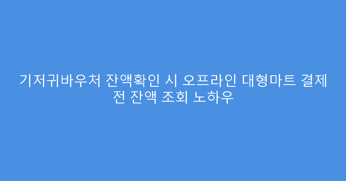 기저귀바우처 잔액확인 시 오프라인 대형마트 결제 전 잔액 조회 노하우