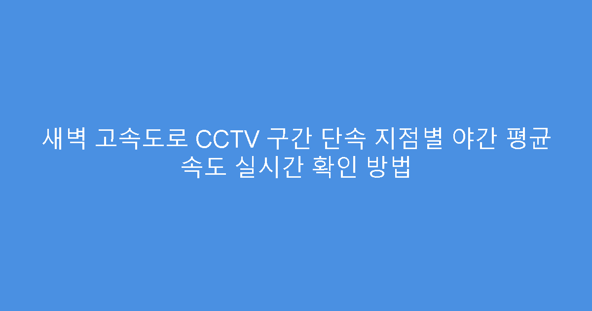 새벽 고속도로 CCTV 구간 단속 지점별 야간 평균 속도 실시간 확인 방법