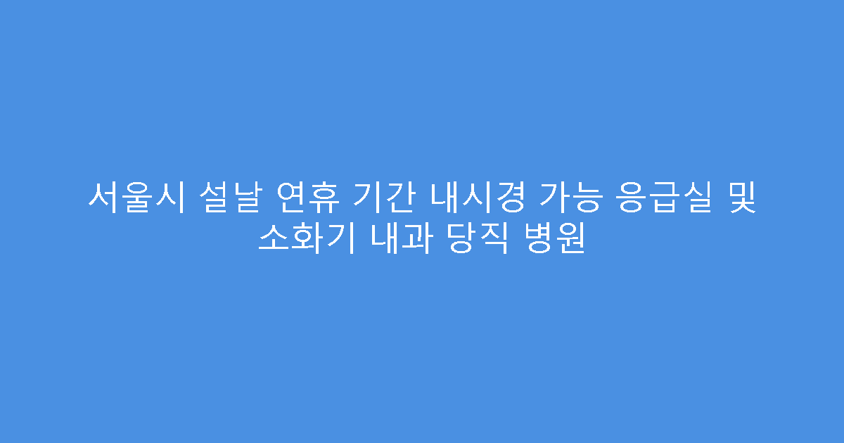 서울시 설날 연휴 기간 내시경 가능 응급실 및 소화기 내과 당직 병원