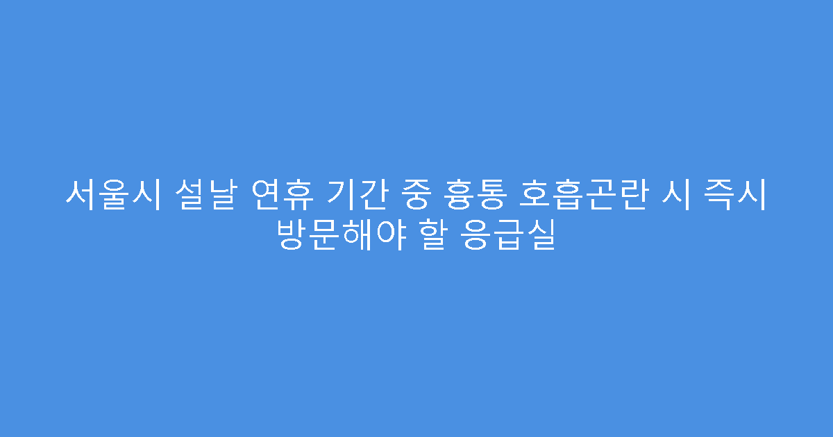 서울시 설날 연휴 기간 중 흉통 호흡곤란 시 즉시 방문해야 할 응급실
