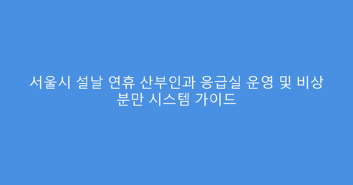 서울시 설날 연휴 산부인과 응급실 운영 및 비상 분만 시스템 가이드