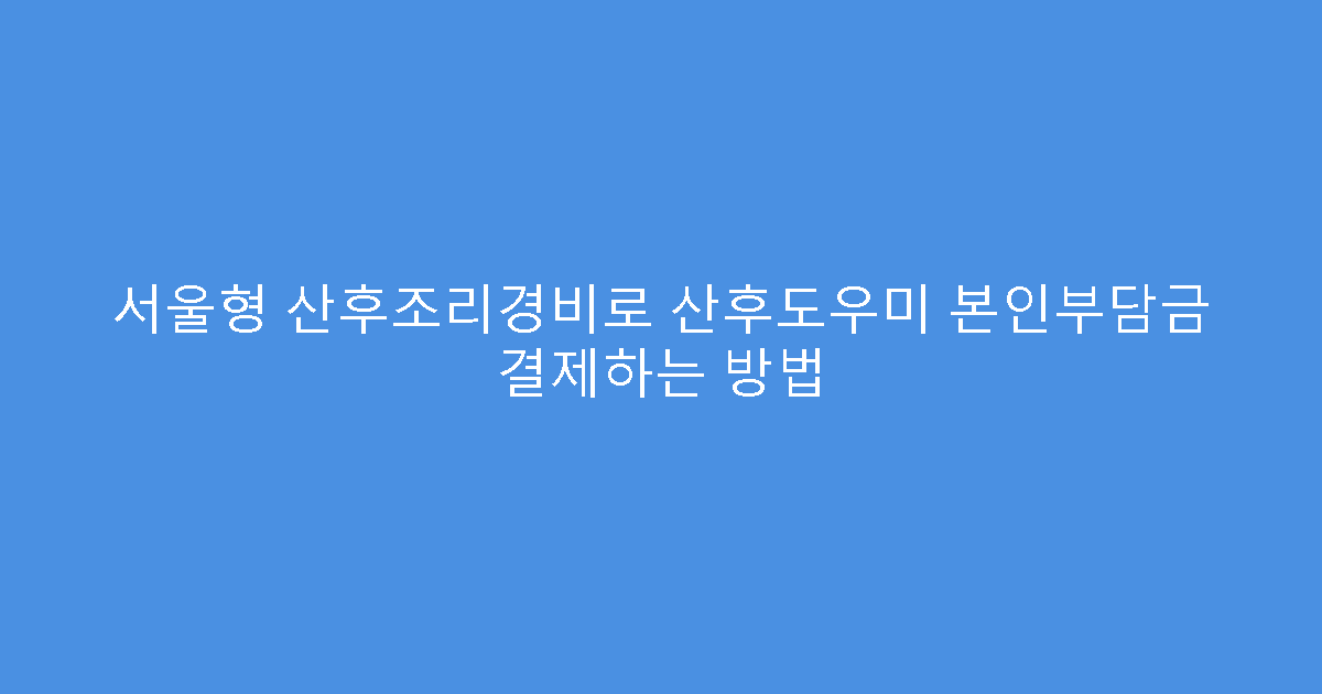 서울형 산후조리경비로 산후도우미 본인부담금 결제하는 방법
