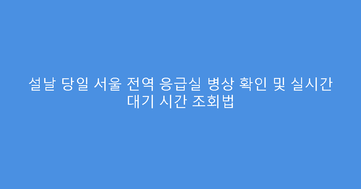 설날 당일 서울 전역 응급실 병상 확인 및 실시간 대기 시간 조회법