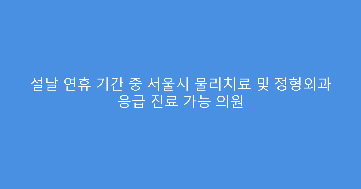 설날 연휴 기간 중 서울시 물리치료 및 정형외과 응급 진료 가능 의원