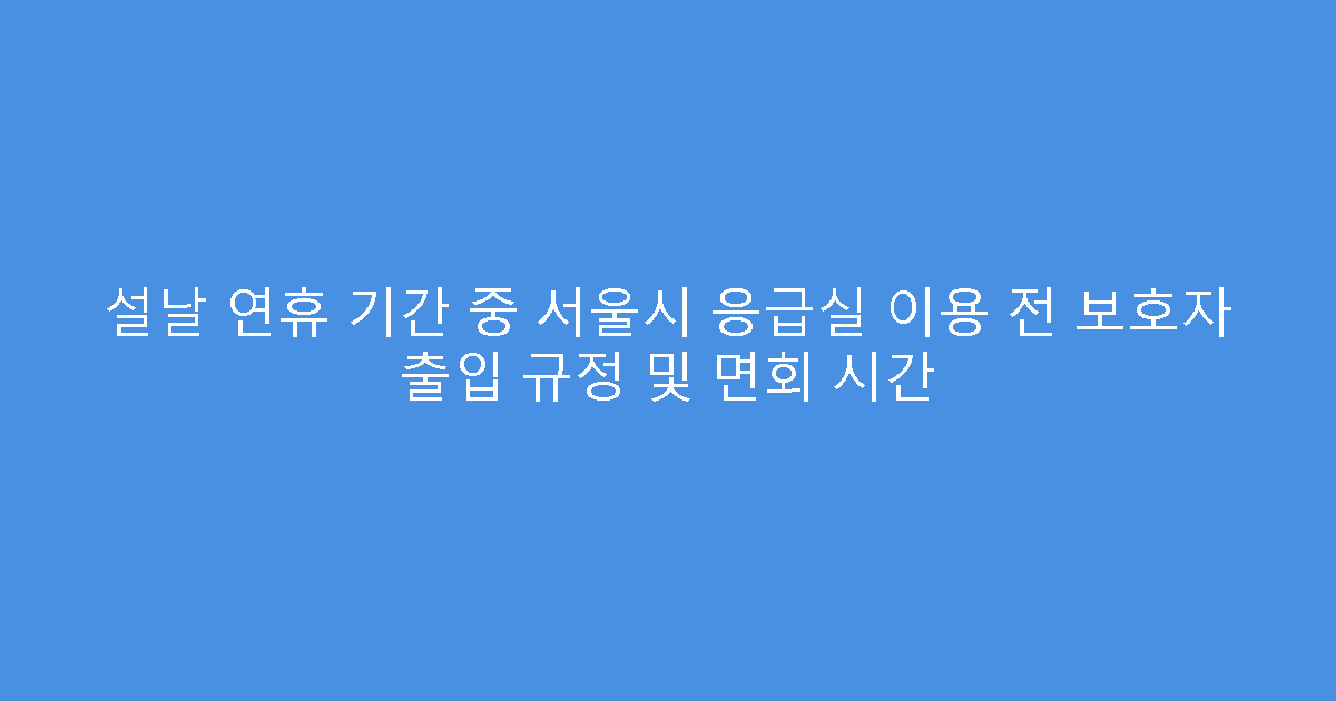 설날 연휴 기간 중 서울시 응급실 이용 전 보호자 출입 규정 및 면회 시간