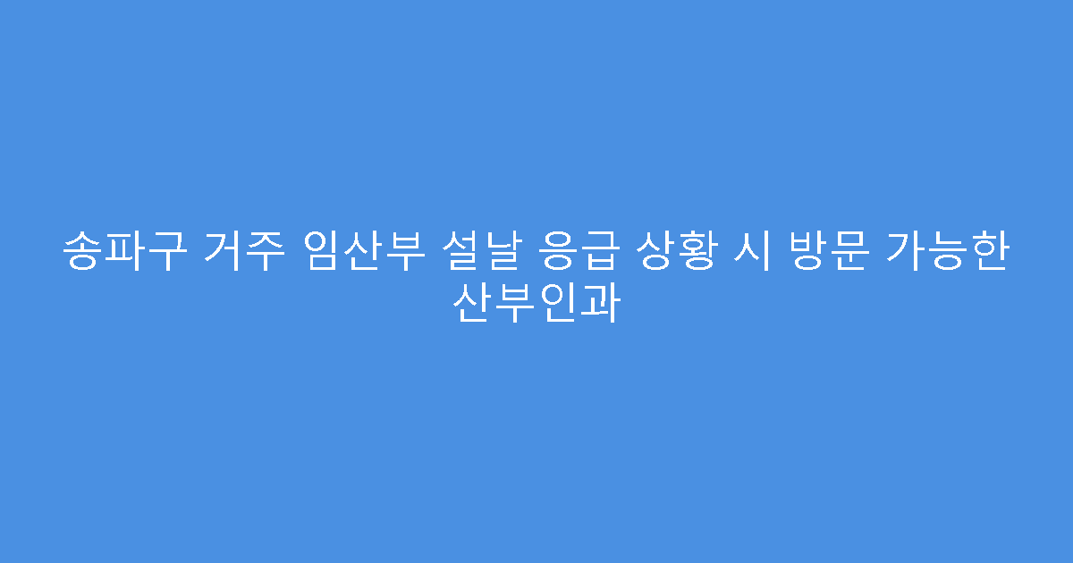 송파구 거주 임산부 설날 응급 상황 시 방문 가능한 산부인과